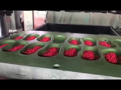 उच्च गुणवत्ता वाली ईवीए सामग्री रंगीन ग्रेन्युल गोली जूता बनाना